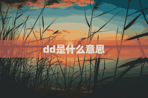 dd是什么意思